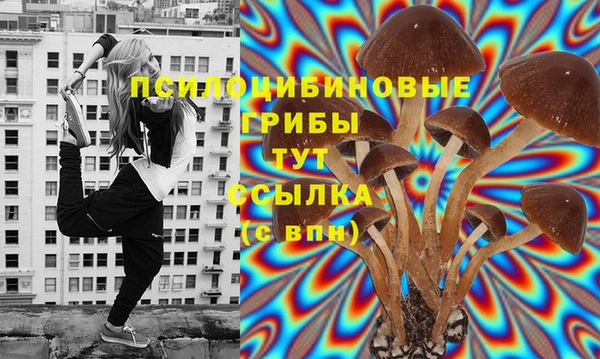не бодяженный Богданович