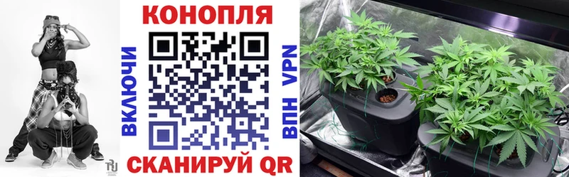 цена   Дятьково  Бошки марихуана план 